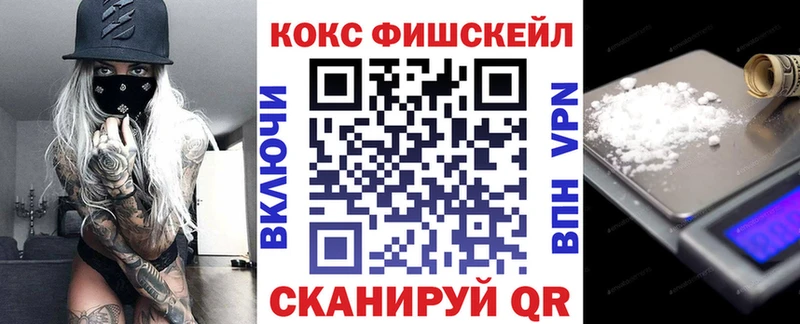 Cocaine FishScale  дарнет шоп  Данилов 