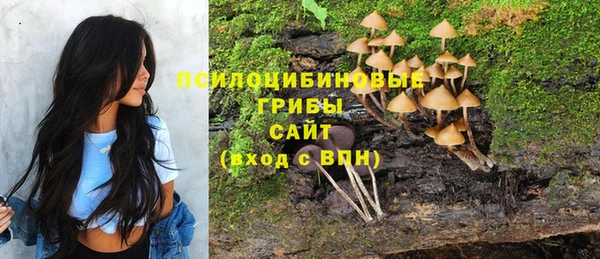 apvp Абаза