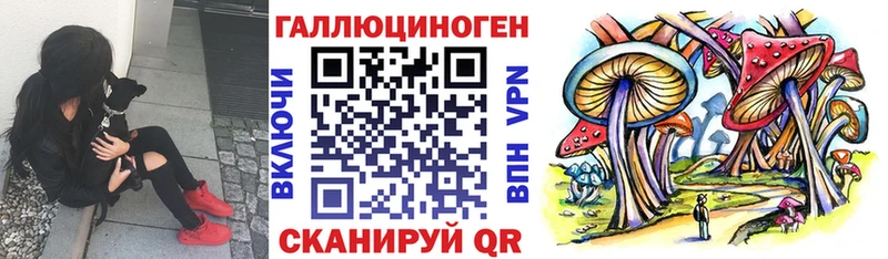 Псилоцибиновые грибы мухоморы  сколько стоит  Данилов 